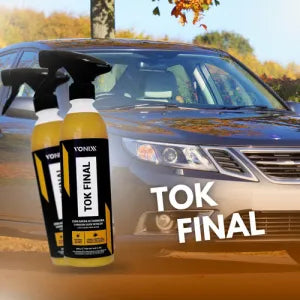 TOK FINAL – Cera carnauba rapida